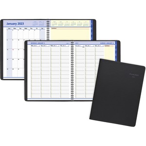 At-A-Glance QuickNotes Appointment Book Planner