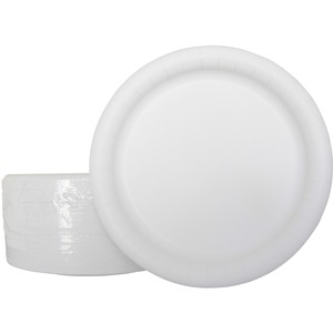 AJM 9" Dinnerware Paper Plates