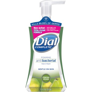 Dial Complete Foaming Hand Wash