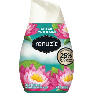 Renuzit Gel Air Freshener