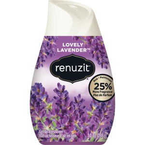 Renuzit Gel Air Freshener