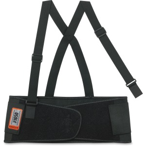 ProFlex Economy Elastic Back Support