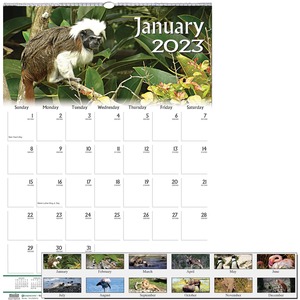 House of Doolittle Earthscapes Wildlife Monthly Wall Calendar