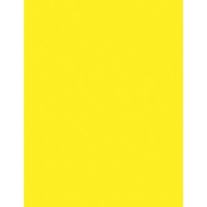 Pacon Neon Multipurpose Paper - Yellow