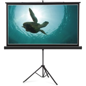 Quartet Manual Projection Screen