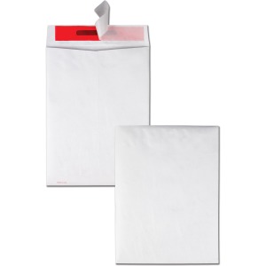 Survivor® Tyvek Tamper Indicating Envelopes