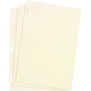 Wilson Jones Plain Ledger Paper