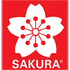 SAKURA OF AMERICA