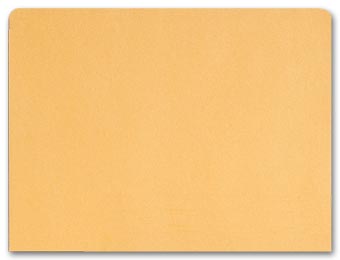 File Pocket Envelopes, 40lb. Kraft, Non - Printed