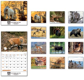 Wildlife Portraits Wall Calendar