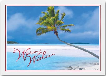 Caribbean Holiday Holiday Cards