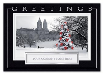 Central Park Joy Holiday Cards