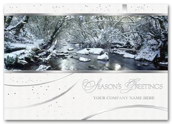 Natural Beauty Holiday Card