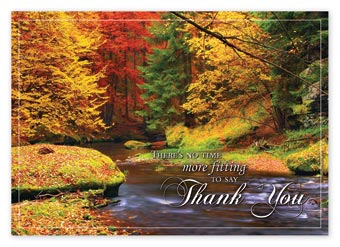 Splashes Of Color Thanksgiving Cards