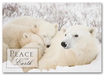 Togetherness Holiday Card