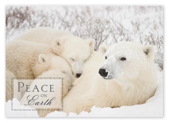 Togetherness Budget Cards