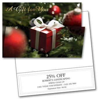 Special Gift Holiday Card