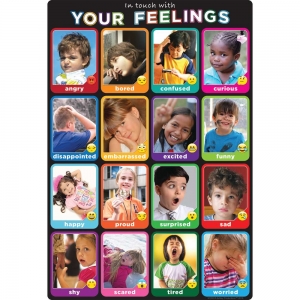 Emotions 13 X 19 Chart Smart Poly