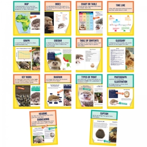 Mini Posters Nonfiction Text Features