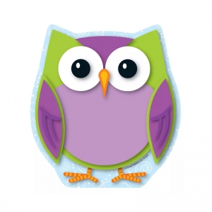 Colorful Owl Note Pad