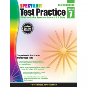 Test Practice Workbook, Grade 7