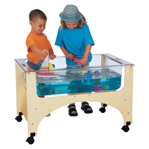 See-thru Sand -n-water Table