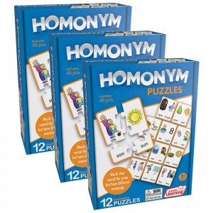 (3 EA) HOMONYM PUZZLES 