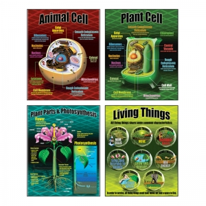 Life Science Teaching Poster Set 