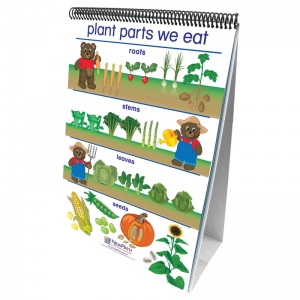 Early Childhood Science Readiness Flip Charts, All About Plants