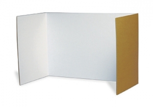 (2 PK) PRIVACY BOARDS 48X16 4 PER PK