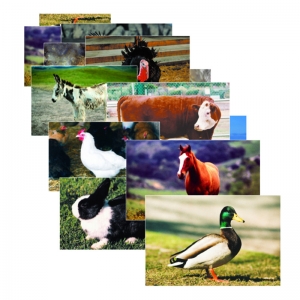 FARM ANIMAL POSTER SET SET OF 10 