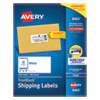 Shipping Labels w/ TrueBlock Technology, Inkjet Printers, 2 x 4, White, 10/Sheet, 100 Sheets/Box