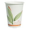 Bare by Solo Eco-Forward Recycled Content PCF Paper Hot Cups, 12 oz, 1,000/Ct