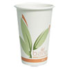 Bare by Solo Eco-Forward Recycled Content PCF Paper Hot Cups, 16 oz, 1,000/Ct