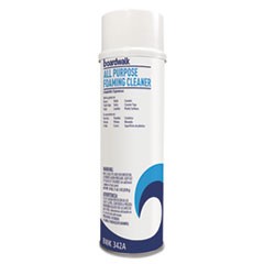 All-Purpose Foaming Cleaner w/Ammonia, 19 oz Aerosol Spray