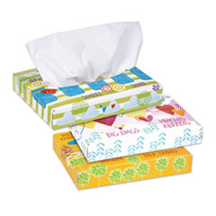 White Facial Tissue Junior Pack, 2-Ply, 40 Sheets/Box, 80 Boxes/Carton