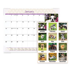 Puppies Monthly Desk Pad Calendar, Puppies Photography, 22 x 17, White Sheets, Clear Corners, 12-Month (Jan to Dec): 2024