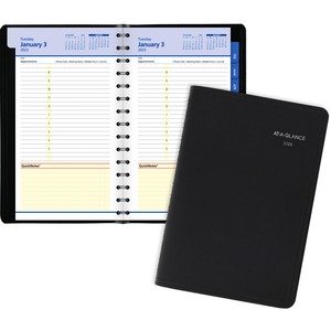 At-A-Glance QuickNotes Appointment Book Planner