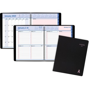 At-A-Glance QuickNotes City of Hope Appointment Book Planner