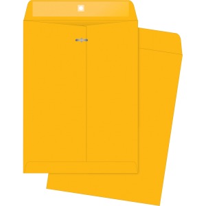 Business Source Kraft Envelopes