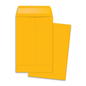 Business Source Little Coin Kraft Envelope