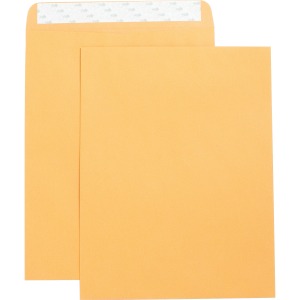 Business Source Self Adhesive Kraft Catalog Envelopes