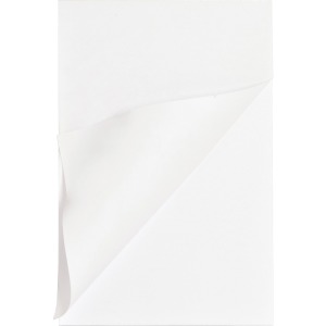 Business Source Plain Memo Pads