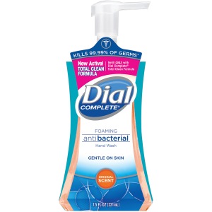 Dial Complete Foaming Hand Wash