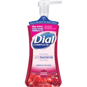 Dial Complete Antibacterial Foaming Hand Wash