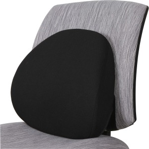 Lorell Ergo Lumbar Back Support