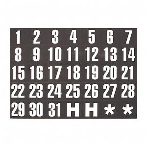 Magna Visual Magnetic Calendar Dates Indicators