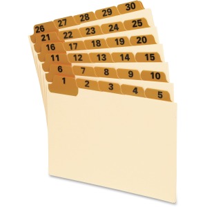 Oxford 1-31 Laminated Tab Manila Card Guides