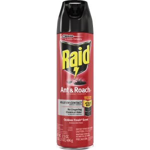 Raid Ant/Roach Killer Spray