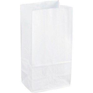 Sparco White Kraft Paper Bags